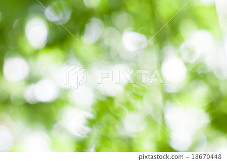 Beautiful nature green bokeh background Beautiful nature green bokeh background 18670448