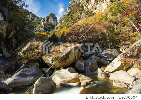 Autumn leaves of Shosenkyo Gorge 18670504