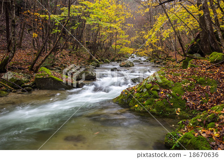 聲音水穀 18670636