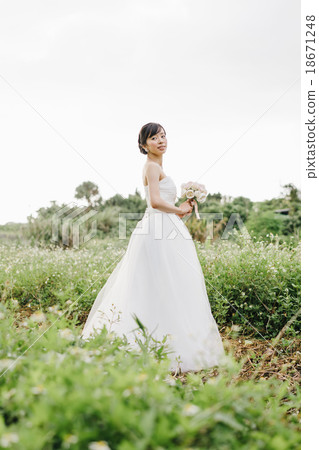 wedding wedding 18671248