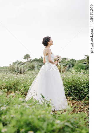 wedding wedding 18671249