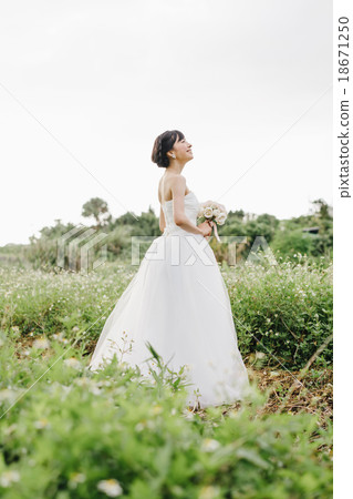 wedding wedding 18671250
