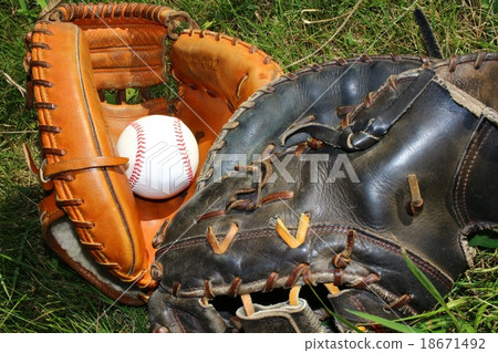 Baseball hard ball 18671492