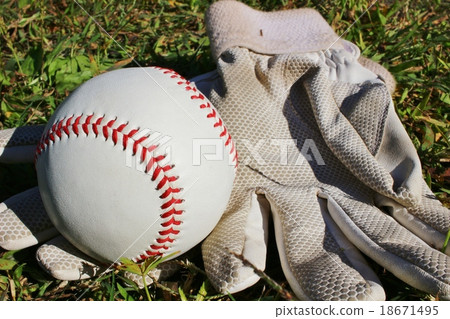 Baseball hard ball 18671495