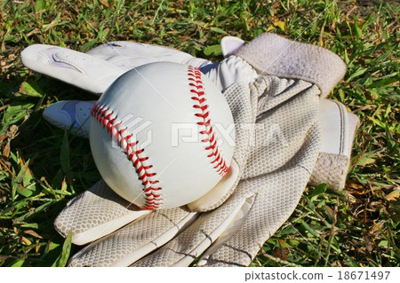 Baseball hard ball Baseball hard ball 18671497