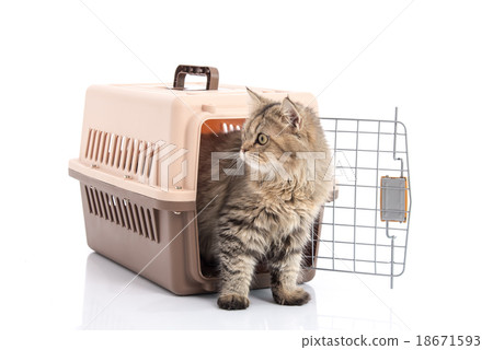 cat ponibcctyc vk pet carrier isolated  18671593