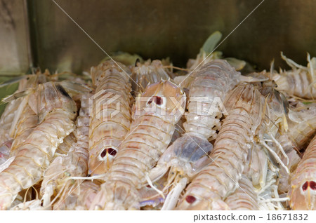King Prawns Mazzancolle King Prawns Mazzancolle 18671832