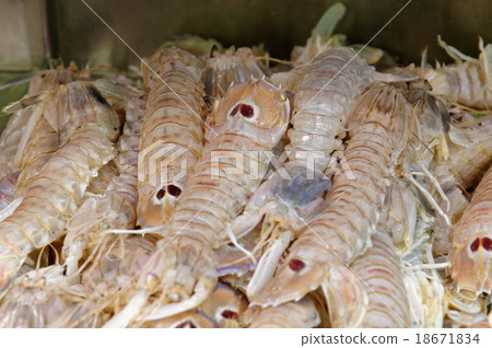 King Prawns Mazzancolle King Prawns Mazzancolle 18671834