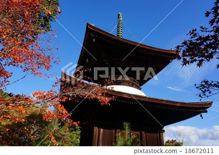 Kyoto "Autumn Leaves" Junko-koen Temple: Towa Kyoto "Autumn Leaves" Junko-koen Temple: Towa 18672011