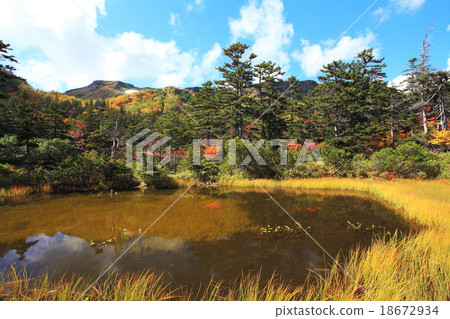 The Taisetsu swamp of the autumn's heavy snow plateau The Taisetsu swamp of the autumn's heavy snow plateau 18672934