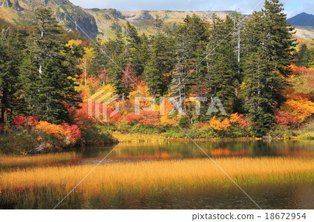 Daisetsu高原的秋葉在秋天 Daisetsu高原的秋葉在秋天 18672954