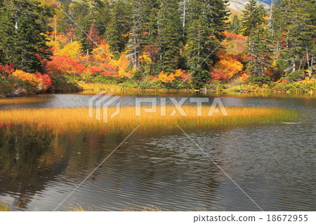 Autumn leaves of the Daisetsu Plateau in autumn Autumn leaves of the Daisetsu Plateau in autumn 18672955