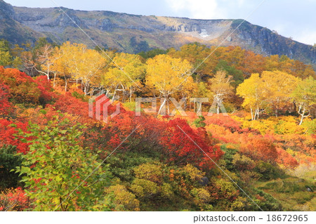 Autumn leaves of the Daisetsu Plateau in autumn 18672965
