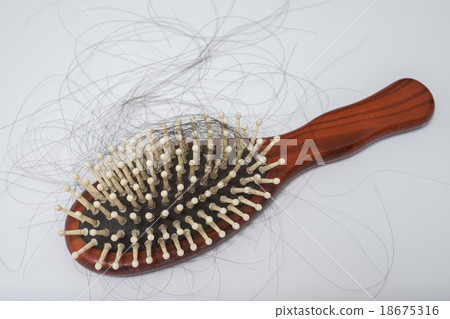 Hair loss problem on bruch, on white background Hair loss problem on bruch, on white background 18675316