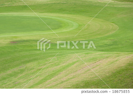 golf course golf course 18675855