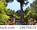 Yuki Shrine 18676619