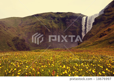 Waterfall in Iceland Waterfall in Iceland 18676997