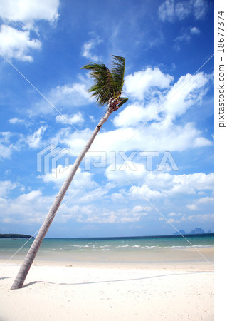 Nai Harn Beach, Rawai, Phuket, Thailand 18677374