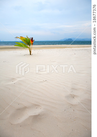 Nai Harn Beach, Rawai, Phuket, Thailand 18677376