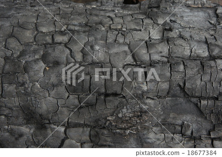 Black charcoal texture background. Burnt wood Black charcoal texture background. Burnt wood 18677384