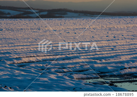 Dusk field in early winter Dusk field in early winter 18678895