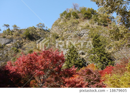 秋天Iwadoya在秋天 18679605