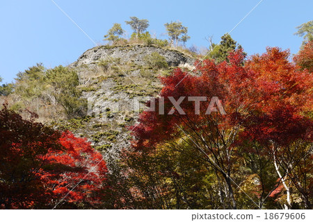 秋天Iwadoya在秋天 18679606