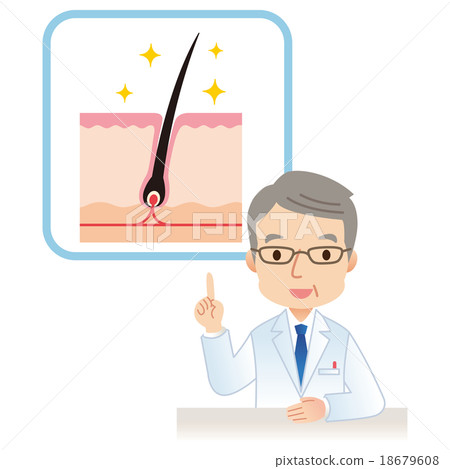 Explanation of hair root 18679608