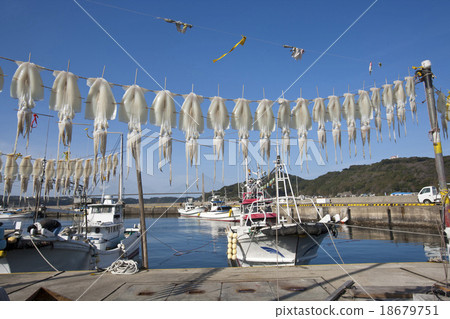懸掛在Yobuko魷魚的風景 懸掛在Yobuko魷魚的風景 18679751