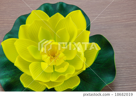 Still life beautiful yellow lotus Still life beautiful yellow lotus 18682019