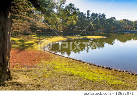 Hikikoshiji / Jodo花園在秋天 18682071