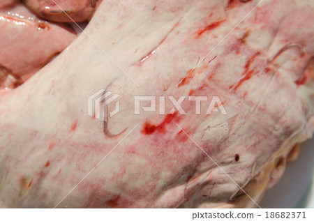 異尖線蟲 18682371