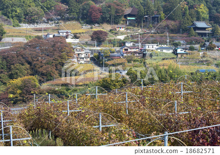 Daizenji Temple in autumn Daizenji Temple in autumn 18682571