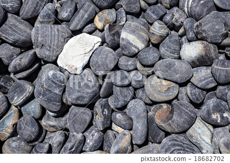 Stone texture 18682702