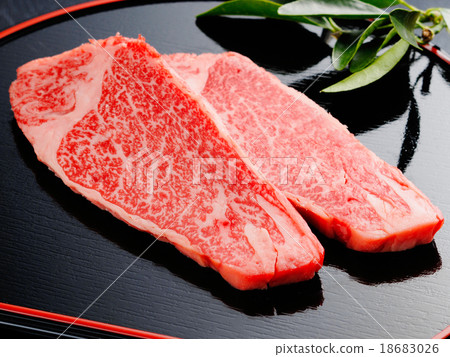 Fillet meat 18683026