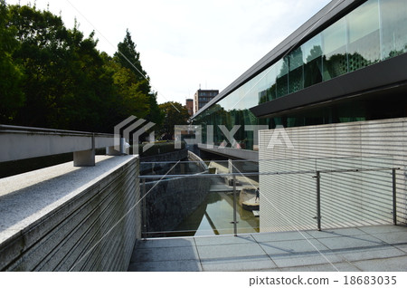 木場公園 18683035