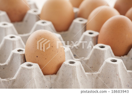 eggs eggs 18683943