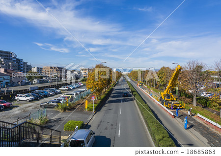 A row of yellow leaves 18685863