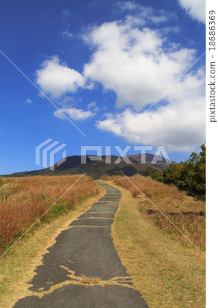 山路 山路 18686369