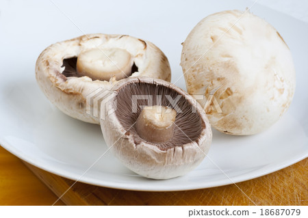 champignons champignons 18687079