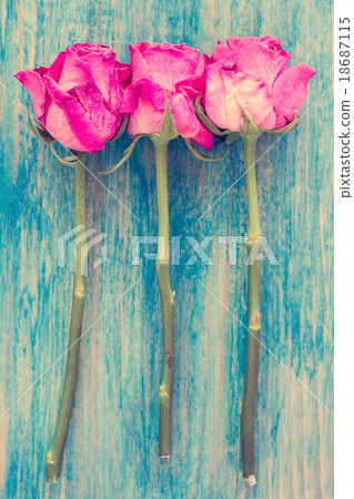 Old roses on wooden table 18687115