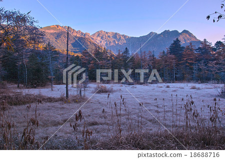 秋天清晨田代泥潭Kamikochi 18688716