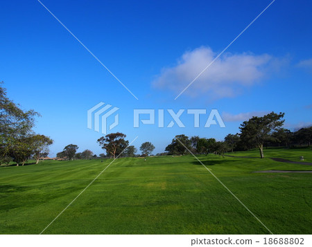 Tori Pines 18688802