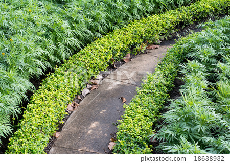 Lush landscaped garden Lush landscaped garden 18688982