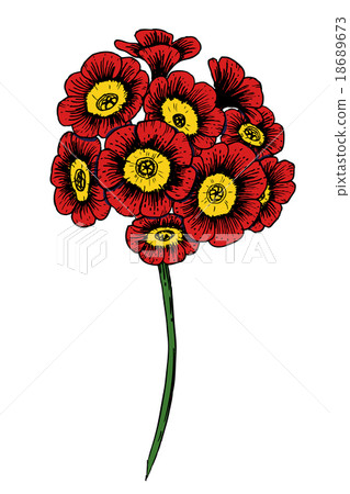 Hand drawn vector flower Hand drawn vector flower 18689673