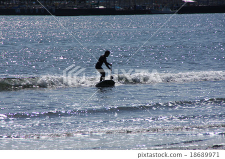 湘南海岸槳板 18689971