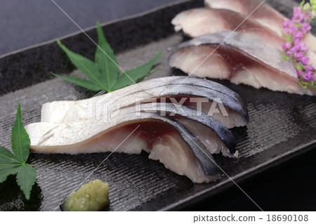 Deep mackerel 18690108