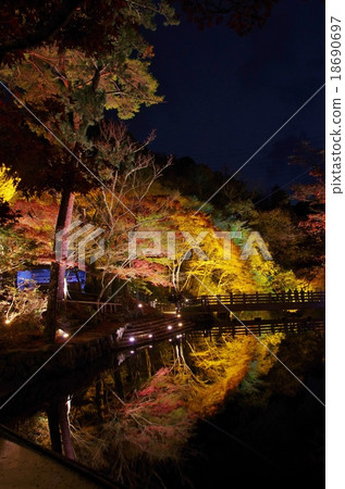 秋葉照亮了Iwayado 18690697