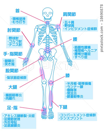 骨骼調整·運動損傷 18690878
