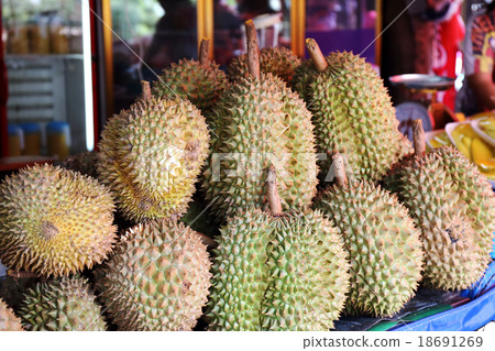Group of Durian Group of Durian 18691269
